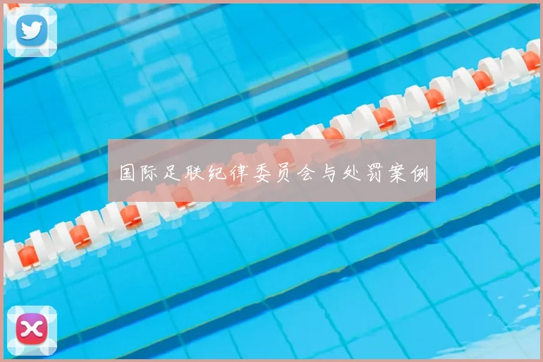 国际足联纪律委员会与处罚案例